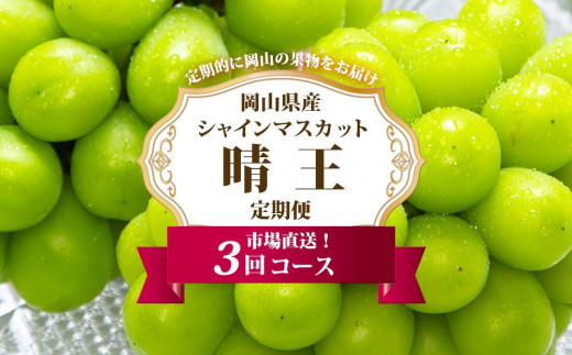 ぶどう 定期便 2026年 シャイン マスカット 晴王 各月2房(1房600g以上) 3回コース マスカット ブドウ 葡萄  岡山県産 国産 フルーツ 果物 ギフト岡山県岡山市75000果物・フルーツマスカット・