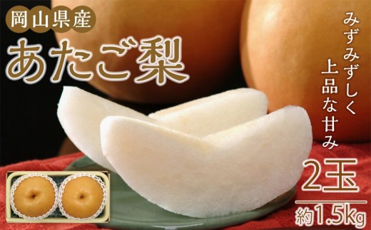 梨 2025年 岡山県産 あたご梨 約1.5kg 2玉 お届け 11月下旬〜12月中旬【梨 なし 果物 フルーツ 新鮮 岡山県 岡山市 おすすめ 人気】岡山県岡山市14000果物・フルーツりんご・梨