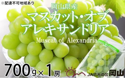 ぶどう 2026年 マスカット ・オブ・アレキサンドリア 約700g×1房 ブドウ 葡萄  岡山県産 国産 フルーツ 果物 ギフト岡山県岡山市18000果物・フルーツマスカット・ぶどう