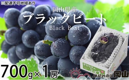 ぶどう 2026年 ブラックビート 約700g×1房 ブドウ 葡萄  岡山県産 国産 フルーツ 果物 ギフト岡山県岡山市14000果物・フルーツマスカット・ぶどう