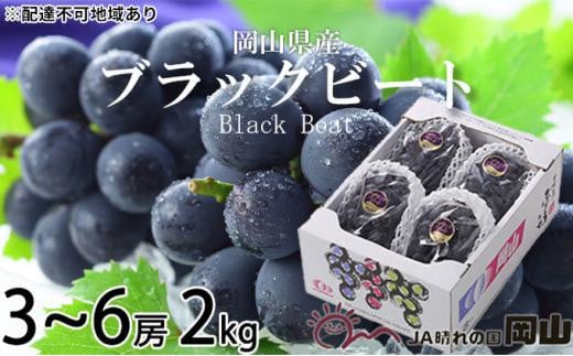 ぶどう 2026年 ブラックビート 約2kg 3房〜6房 ブドウ 葡萄  岡山県産 国産 フルーツ 果物 ギフト岡山県岡山市24000果物・フルーツマスカット・ぶどう