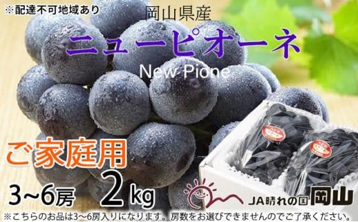 ぶどう 2026年 ご家庭用 ニュー ピオーネ 3〜6房 約2kg ブドウ 葡萄  岡山県産 国産 フルーツ 果物岡山県岡山市18000果物・フルーツマスカット・ぶどう