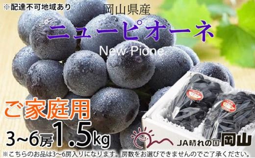 ぶどう 2026年 ご家庭用 ニュー ピオーネ 3〜6房 約1.5kg ブドウ 葡萄  岡山県産 国産 フルーツ 果物岡山県岡山市15000果物・フルーツマスカット・ぶどう