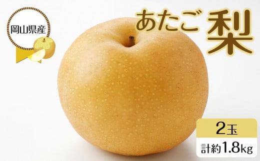 岡山県産 あたご梨 2玉 合計約1.8kg 梨 なし 果物 フルーツ 2025年岡山県岡山市16000果物・フルーツりんご・梨