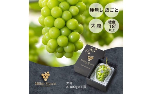 VC }XJbg 2026N uMiiinoMuscatv1[i800gj | VC}XJbg VC }XJbg ʕ t[c VN uhE   R Y Mtg  lCRRs20000ʕEt