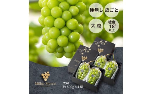 VC }XJbg 2026N uMiiinoMuscatv4[i3.2kgj | VC}XJbg VC }XJbg ʕ t[c VN uhE   R Y Mtg  lCRRs80000ʕE