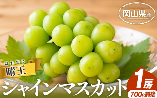 シャイン マスカット 2025年  晴王 1房 700g前後 マスカット ブドウ 葡萄  岡山県産 国産 フルーツ 果物 ギフト岡山県岡山市14000果物・フルーツマスカット・ぶどう