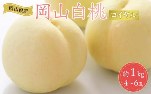 岡山県産 桃 岡山白桃 2026年 ロイヤル 約1kg(4〜6玉)【白桃 桃 もも 果物 フルーツ 新鮮 岡山県産 おすすめ 人気 ギフト 岡山県 岡山市】岡山県岡山市14000果物・フルーツもも・すもも