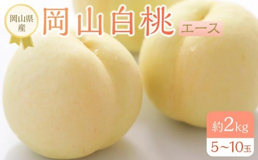 岡山県産 桃 岡山白桃 2026年 エース 約2kg(5〜10玉)【白桃 桃 もも 果物 フルーツ 新鮮 岡山県産 おすすめ 人気 ギフト 岡山県 岡山市】岡山県岡山市26000果物・フルーツもも・すもも