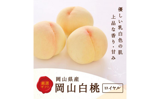 2026年  岡山県産 白桃 8玉(2kg以上) 等級:ロイヤル 化粧箱入り岡山県岡山市47000果物・フルーツもも・すもも