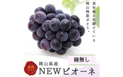 2026年  岡山県産 ニューピオーネ2房(1房480g以上) 化粧箱入り岡山県岡山市20000果物・フルーツマスカット・ぶどう