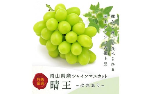2025N  RY@VC}XJbgwx1[(800gȏ) ϔ | t[c ʕ  Ԃǂ uhE VC}XJbg  Y RY Hi lC   Mtg 蕨