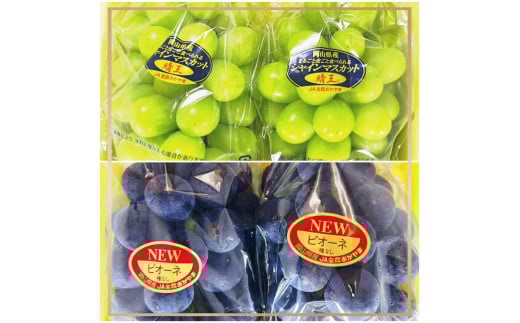 2026年  岡山県産 ニューピオーネ2房(1房480g以上)・シャインマスカット晴王2房(1房480g以上) 化粧箱入り | フルーツ 果物 くだもの ぶどう ブドウ シャインマスカット 晴王 ニューピオーネ 国