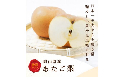 2025年  岡山県産 あたご梨 4〜7玉(約4kg) 化粧箱入り岡山県岡山市25000果物・フルーツりんご・梨