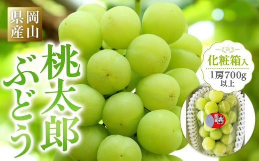 ぶどう 2026年 岡山県産 桃太郎ぶどう1房(700g以上) 化粧箱入り岡山県岡山市24000果物・フルーツマスカット・ぶどう