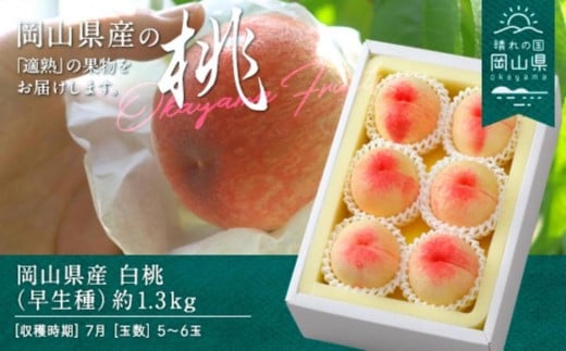 桃 2026年 岡山県産 白桃(早生種) 約1.3kg 5〜6玉(クール便)【白桃 桃 もも 果物 フルーツ 新鮮 岡山県産 おすすめ 人気 ギフト 岡山県 岡山市】岡山県岡山市17000果物・フルーツもも・すも