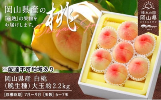 桃 2026年 岡山県産 白桃(晩生種) 大玉 約2.2kg 6〜7玉(クール便)岡山県岡山市35000果物・フルーツもも・すもも