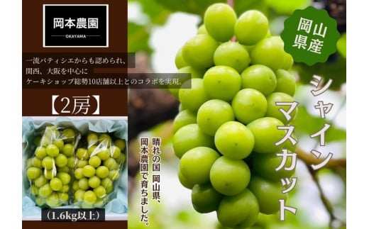シャインマスカット 2房1.6kg | フルーツ 果物 くだもの 葡萄 ブドウ ぶどう シャインマスカット マスカット ギフト 贈答用 プレゼント 岡山 岡山県産 国産 フルーツ 果物 くだもの シャイン
