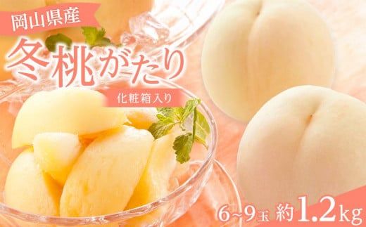 y2025Nz RY ~6`9 1.2kg ϔ艪RRs50000ʕEt[cE