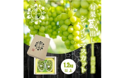 【旬果蔵出し】岡山県産 シャインマスカット 1.2kg以上(2〜3房)<2025年12月上旬〜2026年1月下旬発送>岡山県岡山市25000果物・フルーツマスカット・ぶどう