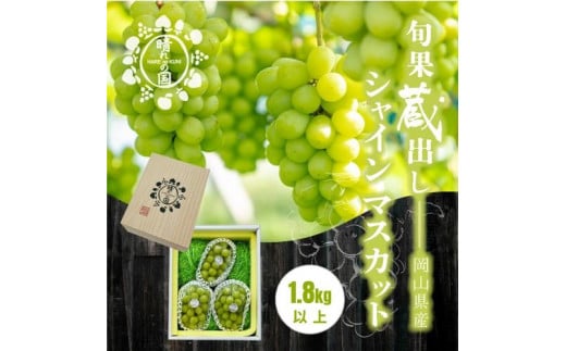 【旬果蔵出し】岡山県産 シャインマスカット 1.8kg以上(2〜3房)<2025年12月上旬〜2026年1月下旬発送>岡山県岡山市34000果物・フルーツマスカット・ぶどう