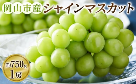 ぶどう 2025年  シャインマスカット 1房(約750g) ブドウ 葡萄 岡山市産 国産 フルーツ 果物 ギフトタンポポ農園 | フルーツ 果物 くだもの ぶどう ブドウ シャインマスカット 国産 岡山県産