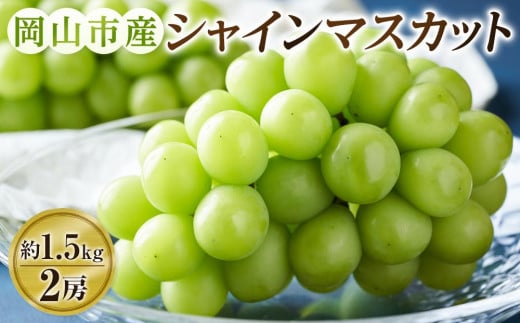ぶどう 2025年  シャインマスカット 2房(約1.5kg) ブドウ 葡萄 岡山市産 国産 フルーツ 果物 ギフトタンポポ農園 | フルーツ 果物 くだもの ぶどう ブドウ シャインマスカット 国産 岡山県産