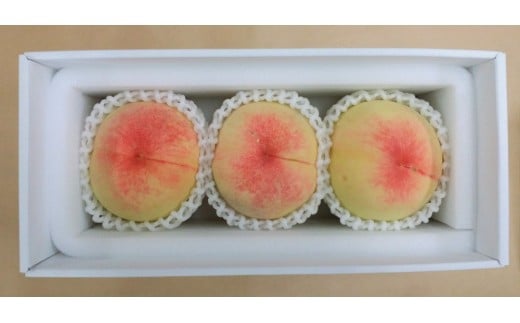 【2026年発送】とろける岡山の大玉白桃   3玉(約1.0kg)岡山県岡山市24000果物・フルーツもも・すもも