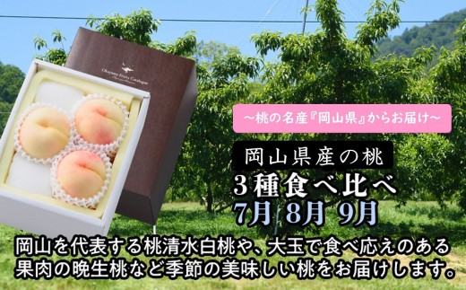 【定期便】岡山県産の桃 3種食べ比べ(7月・8月・9月)【2026年度発送】岡山県岡山市57000果物・フルーツもも・すもも