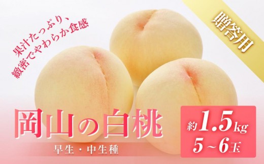 桃 2026年 8月発送 岡山の 白桃(早生、中生種)約1.5kg 5〜6玉 もも モモ フルーツ 果物 岡山市 一宮地区産 国産 赤木農園岡山県岡山市20000果物・フルーツもも・すもも