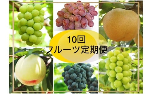 【2026年発送】岡山県産 フルーツ定期便10回コース岡山県岡山市259000果物・フルーツマスカット・ぶどう