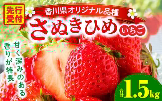 Oؒn悢uʂЂ߁v1.5kg |  C`S ʂP ʂЂ  Â XC[c Xgx[ ① 1kgȏ { ʕ t[c ʕ 쌧  쌧IWifU[g