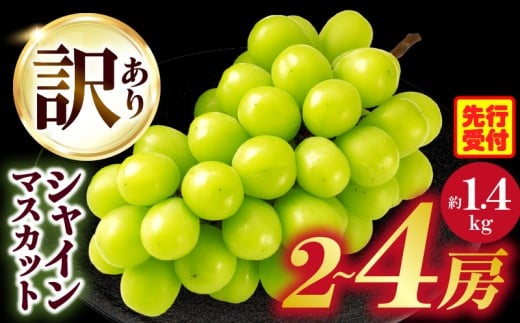 ≪ジャンル別ランキング入賞≫ 【2026年発送先行予約】訳ありシャインマスカット 約1.4s入り 2〜4房| シャインマスカット 訳あり マスカット ぶどう ブドウ 葡萄 果物 フルーツ 香川 香川