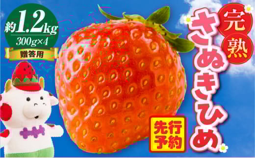 p nʂP 1.2kg |   ʂP ʂЂ 쌧IWi  Â n t[c ʕ { 쌧 Oؒ |_mk035-004쌧Oؒ18000ʕEt[c