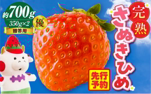 p nʂP D 700g |   ʂP ʂЂ 쌧IWi  Â n t[c ʕ { 쌧 Oؒ |_mk035-006쌧Oؒ16500ʕEt[c