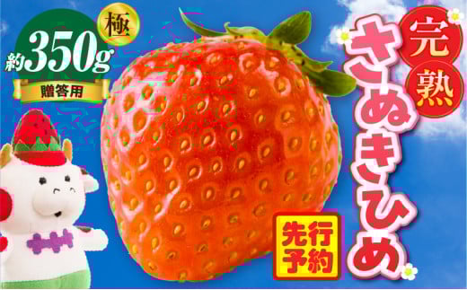 p nʂP ɂ 350g |   ʂP ʂЂ 쌧IWi  Â n t[c ʕ { 쌧 Oؒ |_mk035-003쌧Oؒ16500ʕEt[c