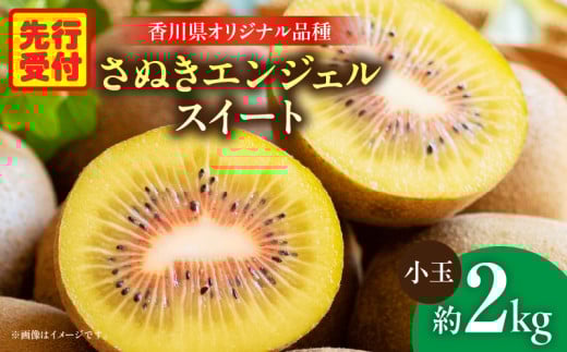 さぬきエンジェルスイート(小玉)約2.0kg【香川県共通返礼品】|さぬき エンジェルスイート 果物 フルーツ 小玉 人気 香川 香川県 三木町 厳選 追熟 ジューシー 糖度が高い 先行受付 先行予