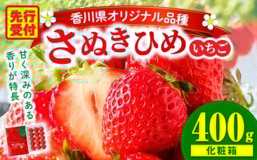yNzOؒn悢wʂЂ߁x@400giϔj| XC[c  Xgx[ C`S ʂP ʂЂ  Â ① t[c { ʕ 쌧 fU[g ʕ 