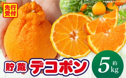 貯蔵デコポン約5kg(12〜24玉)【香川県共通返礼品】 | デコポン 甘い 酸味 柑橘 柑橘系 オレンジ 果物 フルーツ 青果 デザート おすすめ 取り寄せ 香川県 三木町 |_mk006-043香川県三木町21000果物・