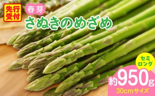 OؒY@IWiAXpKXuʂ̂߂߁v@Z~O@t@950 |  AXp AXpKX ʂ̂߂ t ① VN 쌧 Oؒ Z~O  |_mk