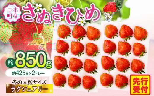 y2026N stz䕉OWA[`~̑嗱ʂЂ߂`@850g | XC[c  C`S Xgx[ ʂЂ ʂP  ① t[c { ʕ 쌧 fU[g