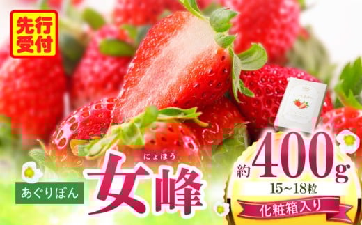 あぐりぼん いちご「女峰」【贈答用】いとしきみ化粧箱 約400g(15〜18粒)| いちご 果物 フルーツ デザート ストロベリー 果肉 スイーツ 甘い 国産 贈り物 贈答 プレゼント グルメ 人気 お