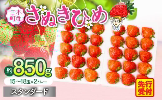 y2026N stz䕉X^_[h`t̑嗱̂ʂЂ߂`@850 | XC[c  C`S Xgx[ ʂЂ ʂP  ① t[c { ʕ 쌧 fU[