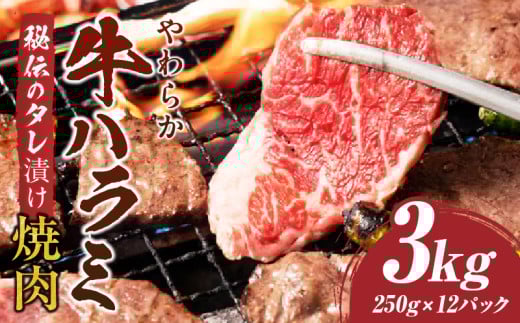 やわらか牛ハラミ焼肉 秘伝のタレ漬け3kg(250g×12P) | 牛肉 焼肉 タレ 漬け 秘伝 柔らかい 味付き やきにく ハラミ 希少 小分け 厚切り 冷凍 BBQ バーベキュー 香川県 三木町 国産 おすすめ |_mk14