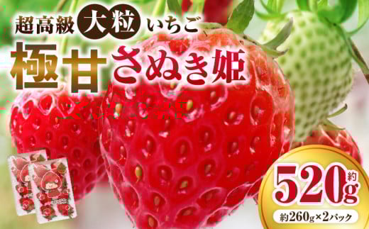 超高級大粒いちご 極甘さぬき姫260g×2パック(ハンモックトレー) | いちご 大粒 高級 さぬき姫 果物 フルーツ おすすめ 旬 イチゴ 季節 旬の果物 ギフト パック 果実 贈り物 デザート 人気 果