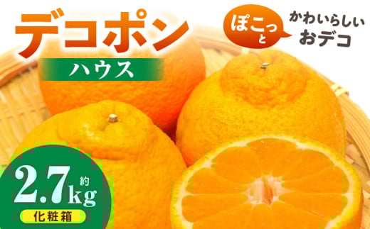 デコポン(ハウス) 化粧箱2.7kg | デコポン みかん フルーツ 果物 旬 柑橘 デザート お裾分け 旬 旬の果物 おすすめ 人気 デザート 生鮮食品 果実 お取り寄せ 贈答用  贈り物 柑橘類 季節 季節