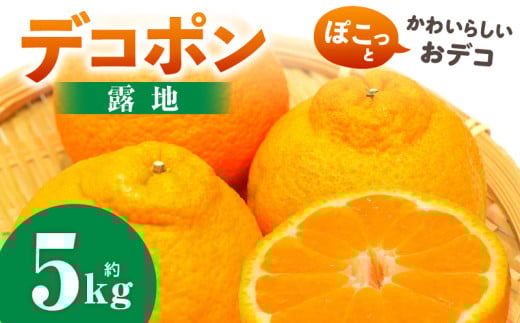 デコポン(露地) 5kg | デコポン みかん フルーツ 果物 旬 柑橘 デザート お裾分け 旬 旬の果物 おすすめ 人気 デザート 生鮮食品 果実 お取り寄せ 贈答用  贈り物 柑橘類 季節 季節の果物 柑橘