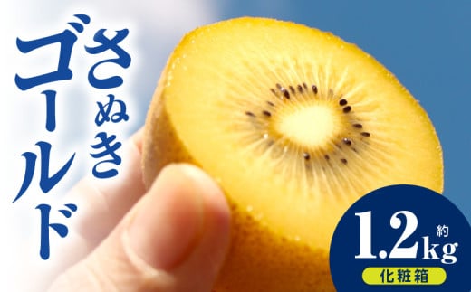 キウイフルーツ(さぬきゴールド) 化粧箱1.2kg | キウイ フルーツ 果物 旬 旬の果物 キウイフルーツ デザート 生鮮食品 贈り物 贈答 お裾分け おすすめ 人気 ギフト グルメ 特産品 果肉 季節
