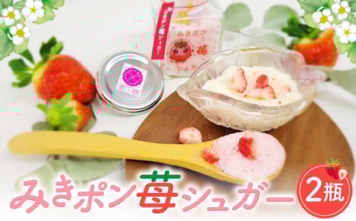 ݂|䕃VK[(2) | Oj[ 󏭓  ʂЂ 䕃VK[  g[Xg َq Oؒ |_mk162-001쌧Oؒ12000EEӞE