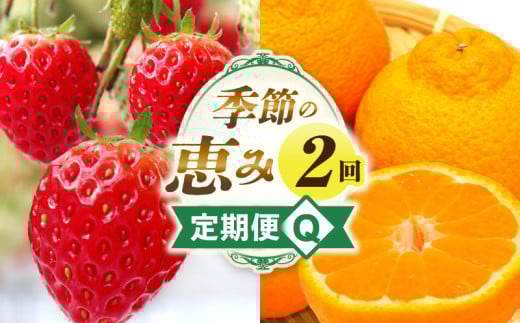 季節の恵み2回定期便Q | 果物 フルーツ 青果 青果物 デザート スイーツ 果実 旬 季節 旬の果物 季節の果物 生鮮食品 生鮮 贈答 贈り物 ギフト プレゼント おすそ分け お祝い 内祝い ご褒美 人